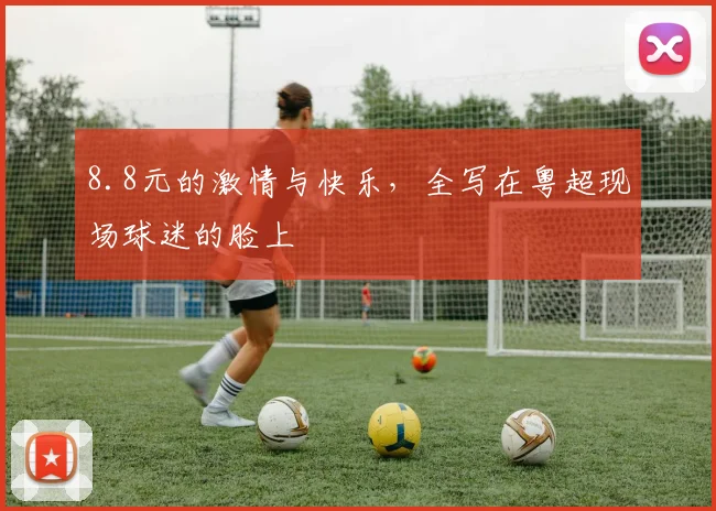 8.8元的激情与快乐，全写在粤超现场球迷的脸上