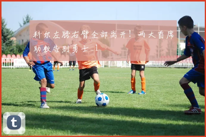 科尔左膀右臂全部离开！两大首席助教告别勇士_1