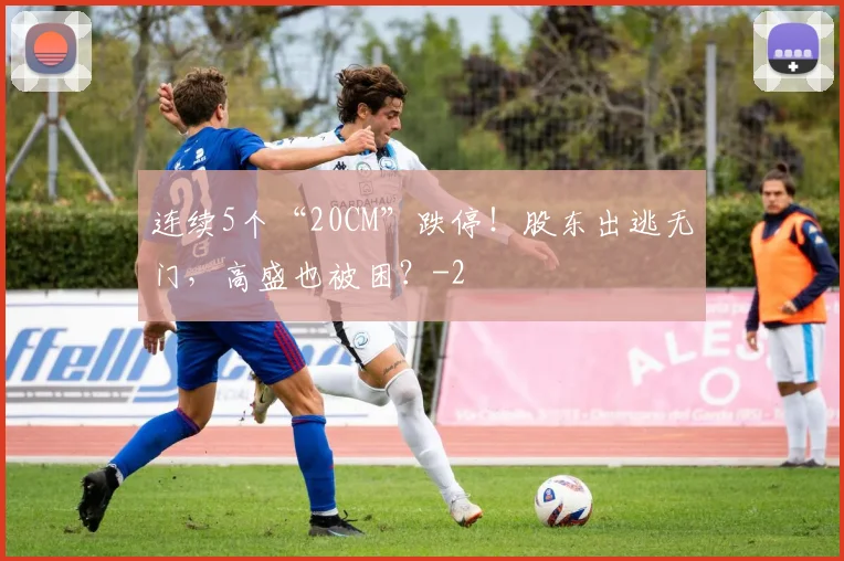 连续5个“20CM”跌停！股东出逃无门，高盛也被困？